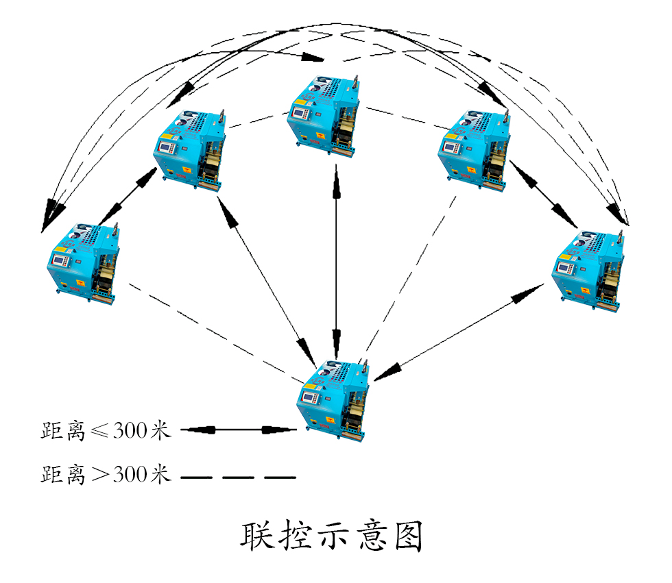 犟牛5号(图3)