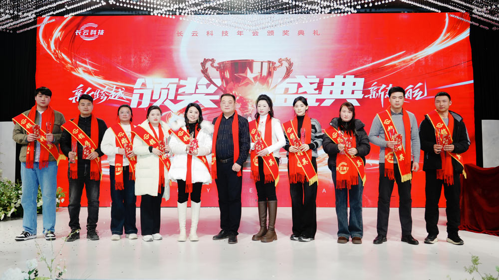 长云科技年度销售精英奖.jpg